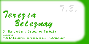 terezia beleznay business card